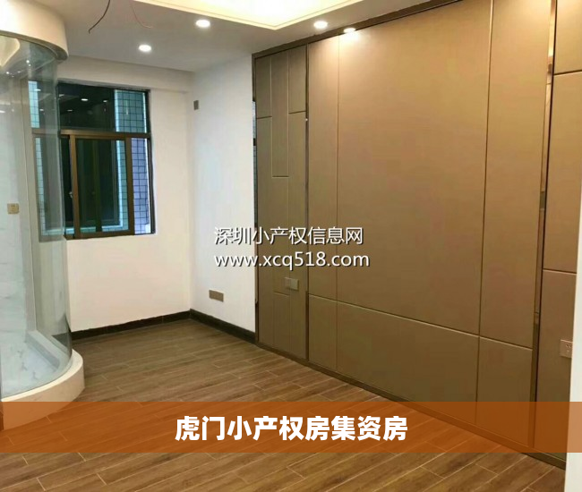 虎门小产权房集资房