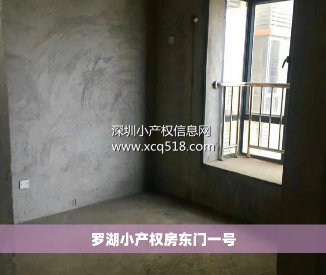 罗湖小产权房东门一号