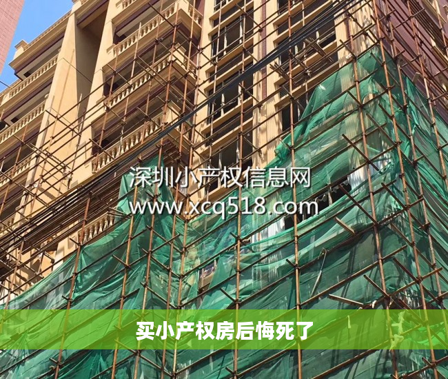 买小产权房后悔死了