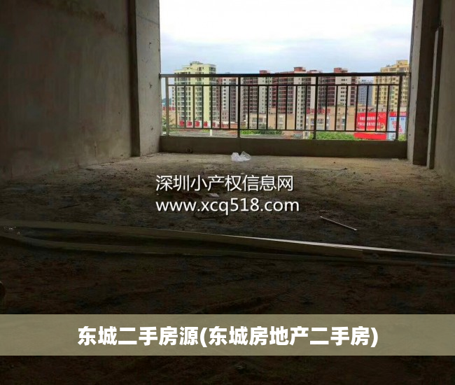 东城二手房源(东城房地产二手房)