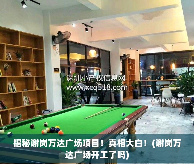 揭秘谢岗万达广场项目！真相大白！(谢岗万达广场开工了吗)