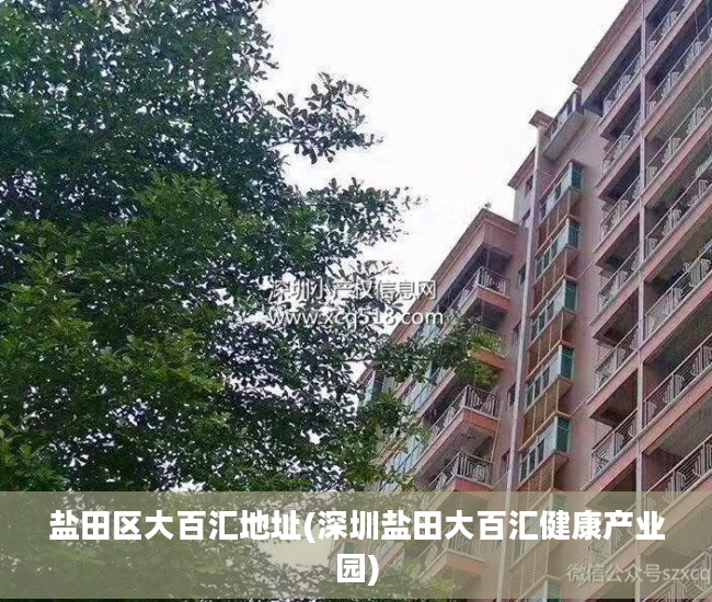 盐田区大百汇地址(深圳盐田大百汇健康产业园)