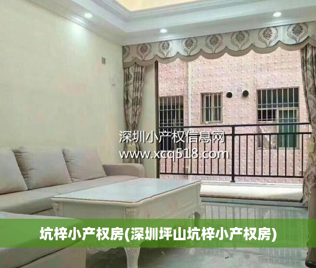 坑梓小产权房(深圳坪山坑梓小产权房)