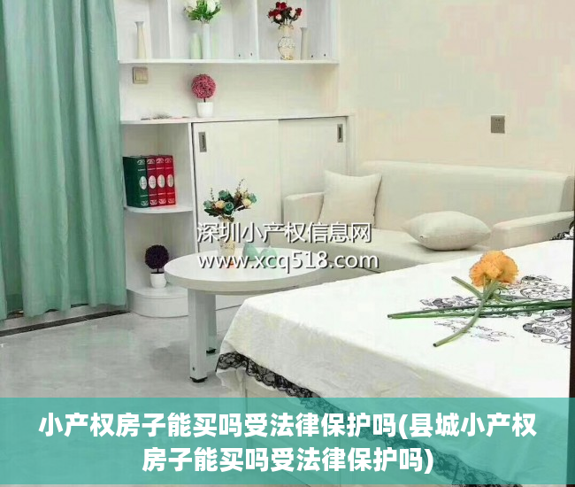 小产权房子能买吗受法律保护吗(县城小产权房子能买吗受法律保护吗)