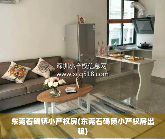 东莞石碣镇小产权房(东莞石碣镇小产权房出租)