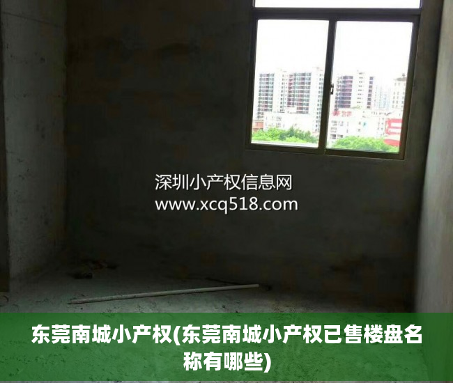 东莞南城小产权(东莞南城小产权已售楼盘名称有哪些)