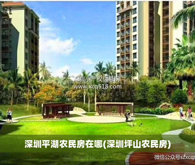 深圳平湖农民房在哪(深圳坪山农民房)