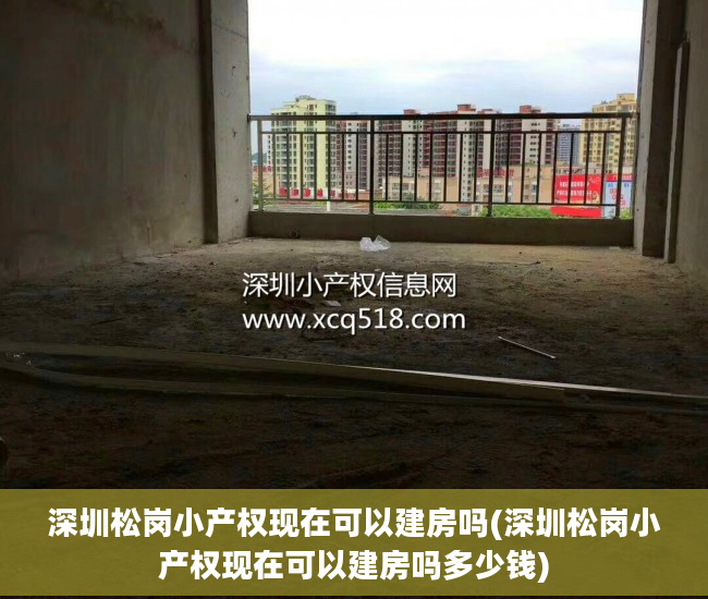 深圳松岗小产权现在可以建房吗(深圳松岗小产权现在可以建房吗多少钱)