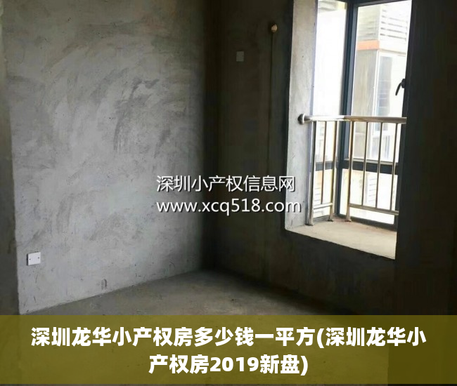 深圳龙华小产权房多少钱一平方(深圳龙华小产权房2019新盘)