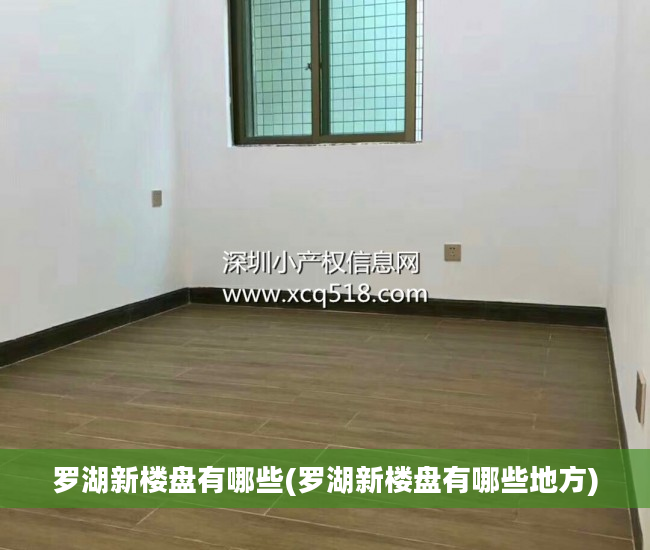 罗湖新楼盘有哪些(罗湖新楼盘有哪些地方)