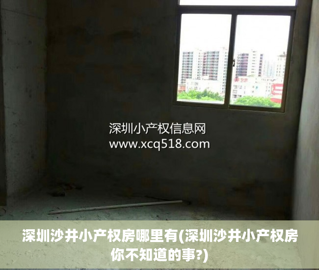 深圳沙井小产权房哪里有(深圳沙井小产权房你不知道的事?)