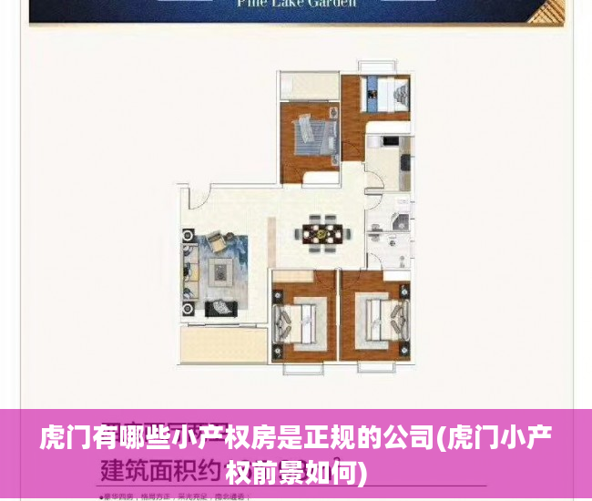 虎门有哪些小产权房是正规的公司(虎门小产权前景如何)
