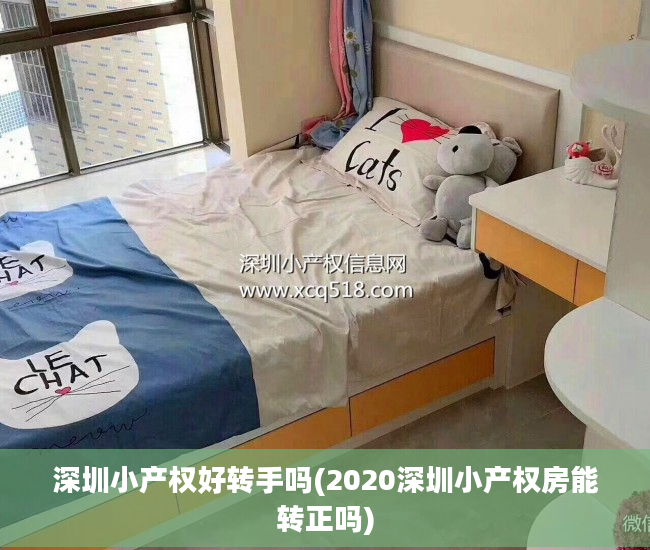 深圳小产权好转手吗(2020深圳小产权房能转正吗)