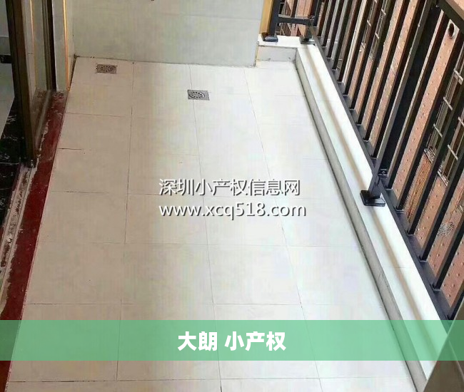 大朗 小产权
