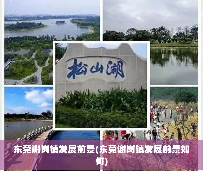 东莞谢岗镇发展前景(东莞谢岗镇发展前景如何)
