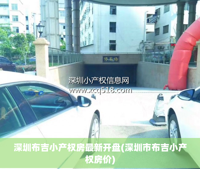 深圳布吉小产权房最新开盘(深圳市布吉小产权房价)