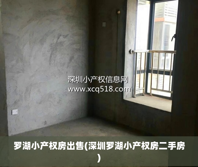 罗湖小产权房出售(深圳罗湖小产权房二手房)
