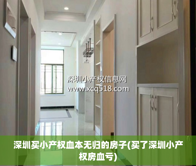 深圳买小产权血本无归的房子(买了深圳小产权房血亏)