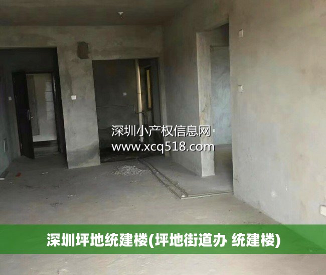 深圳坪地统建楼(坪地街道办 统建楼)