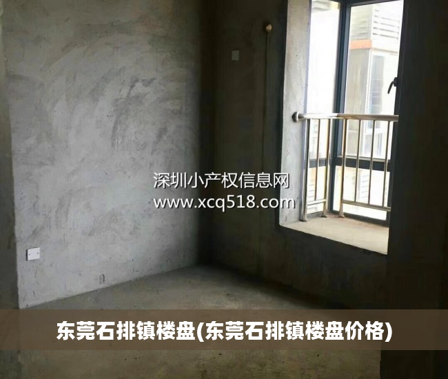 东莞石排镇楼盘(东莞石排镇楼盘价格)