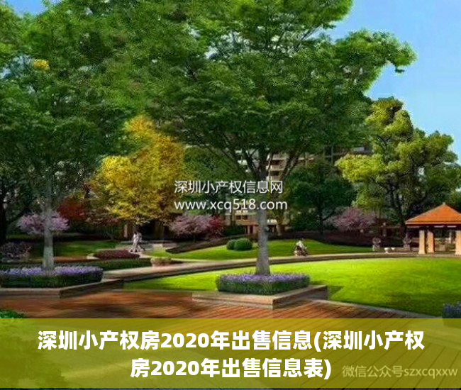 深圳小产权房2020年出售信息(深圳小产权房2020年出售信息表)