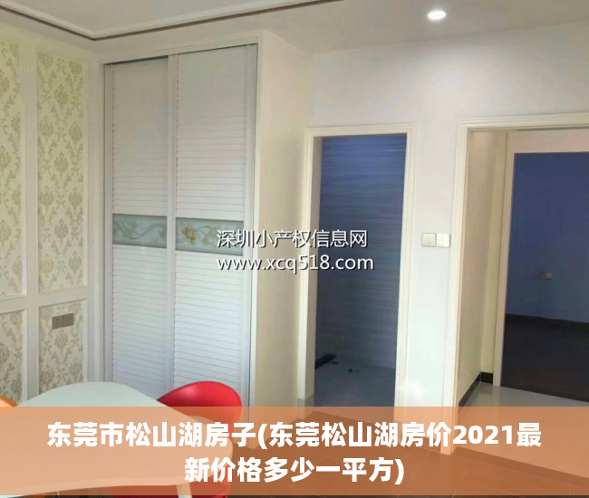 东莞市松山湖房子(东莞松山湖房价2021最新价格多少一平方)