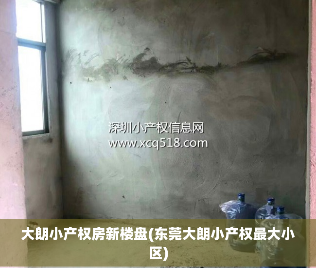 大朗小产权房新楼盘(东莞大朗小产权最大小区)