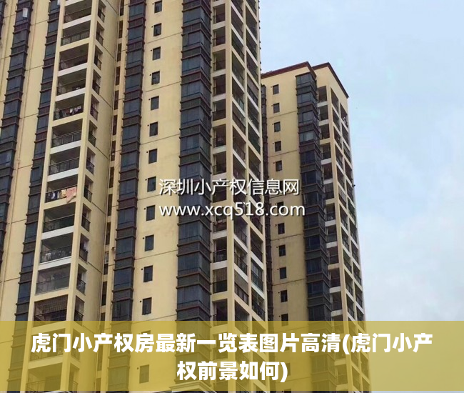 虎门小产权房最新一览表图片高清(虎门小产权前景如何)