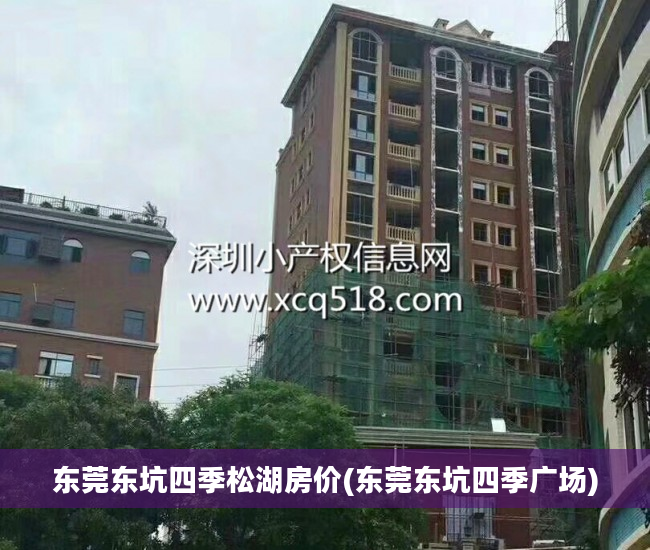 东莞东坑四季松湖房价(东莞东坑四季广场)