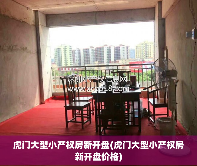 虎门大型小产权房新开盘(虎门大型小产权房新开盘价格)