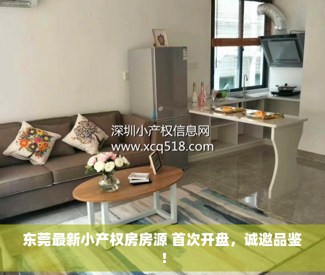 东莞最新小产权房房源 首次开盘，诚邀品鉴！