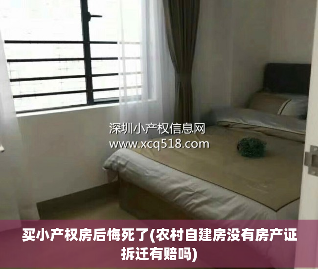 买小产权房后悔死了(农村自建房没有房产证拆迁有赔吗)