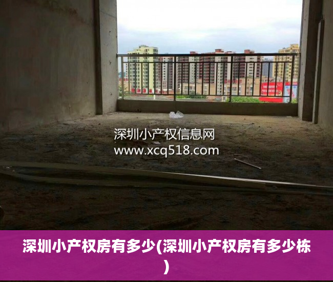 深圳小产权房有多少(深圳小产权房有多少栋)