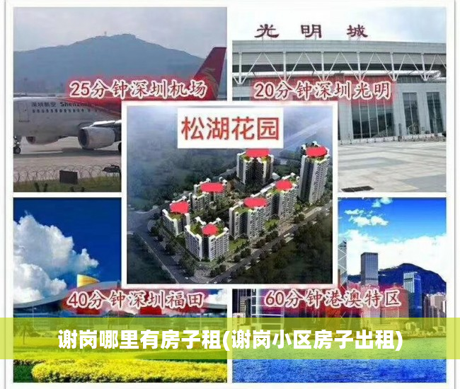 谢岗哪里有房子租(谢岗小区房子出租)