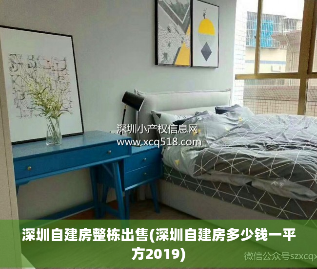 深圳自建房整栋出售(深圳自建房多少钱一平方2019)
