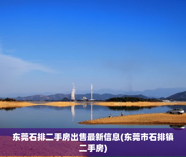 东莞石排二手房出售最新信息(东莞市石排镇二手房)
