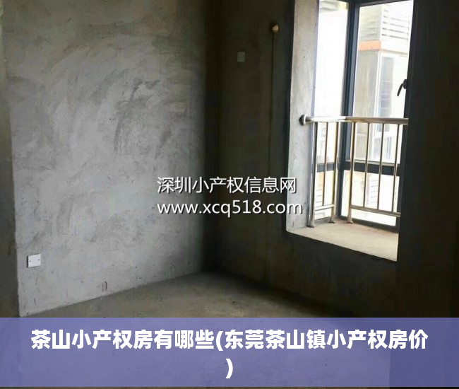 茶山小产权房有哪些(东莞茶山镇小产权房价)
