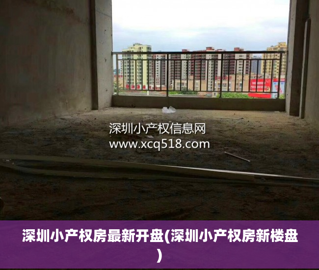 深圳小产权房最新开盘(深圳小产权房新楼盘)