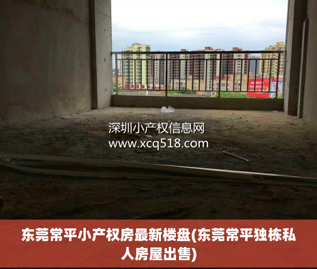东莞常平小产权房最新楼盘(东莞常平独栋私人房屋出售)