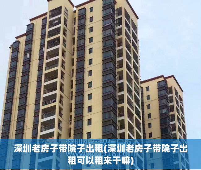 深圳老房子带院子出租(深圳老房子带院子出租可以租来干嘛)