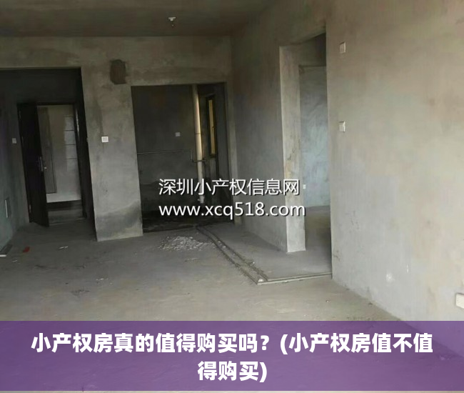 小产权房真的值得购买吗？(小产权房值不值得购买)