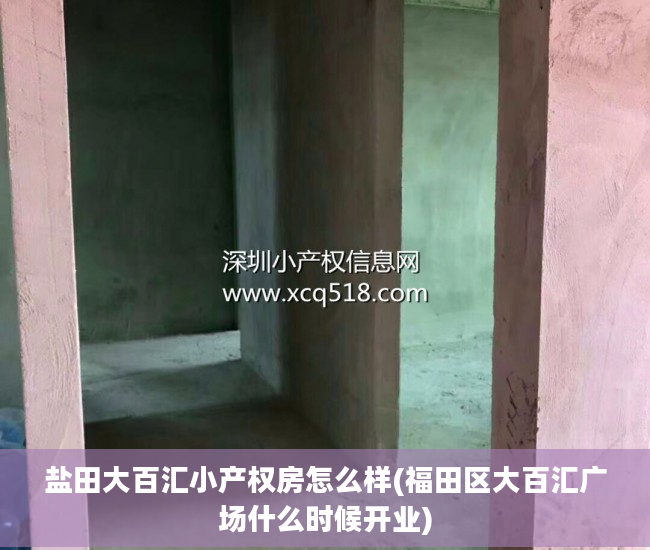 盐田大百汇小产权房怎么样(福田区大百汇广场什么时候开业)
