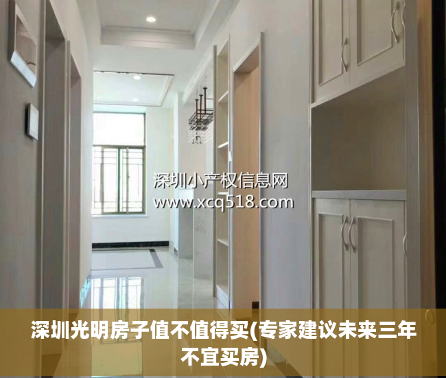 深圳光明房子值不值得买(专家建议未来三年不宜买房)
