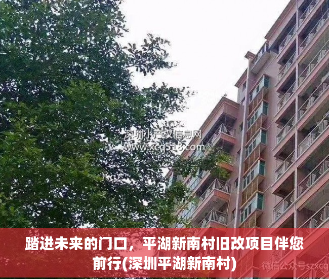 踏进未来的门口，平湖新南村旧改项目伴您前行(深圳平湖新南村)