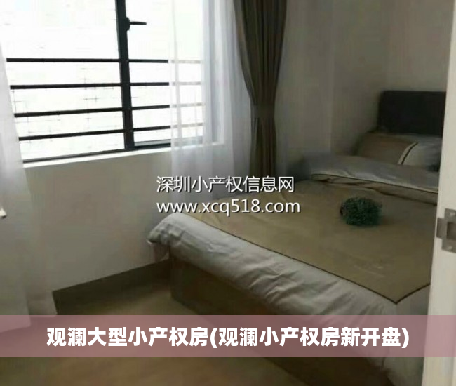 观澜大型小产权房(观澜小产权房新开盘)