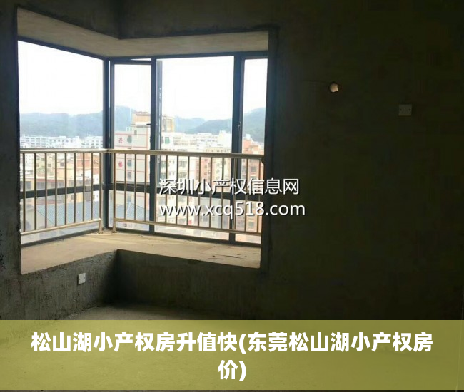 松山湖小产权房升值快(东莞松山湖小产权房价)