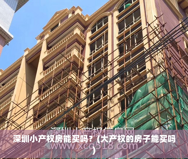 深圳小产权房能买吗？(大产权的房子能买吗)
