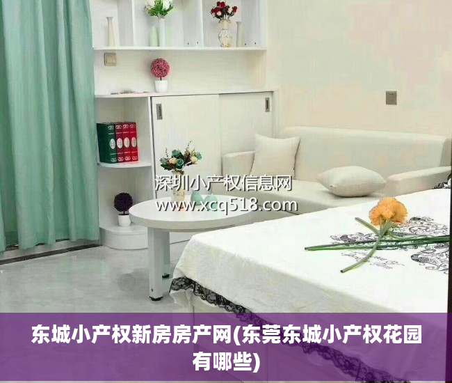 东城小产权新房房产网(东莞东城小产权花园有哪些)