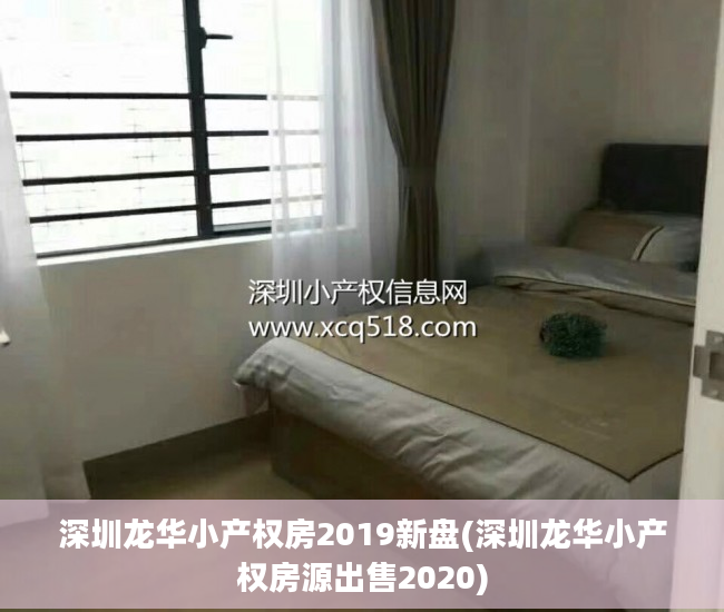 深圳龙华小产权房2019新盘(深圳龙华小产权房源出售2020)