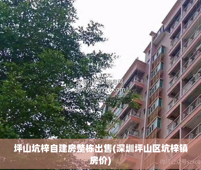 坪山坑梓自建房整栋出售(深圳坪山区坑梓镇房价)